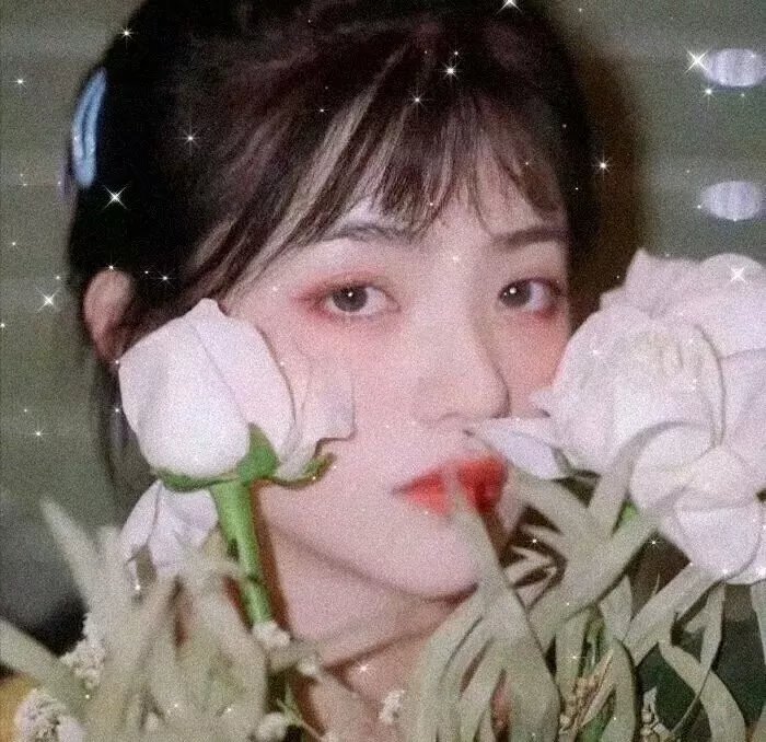 人各有计